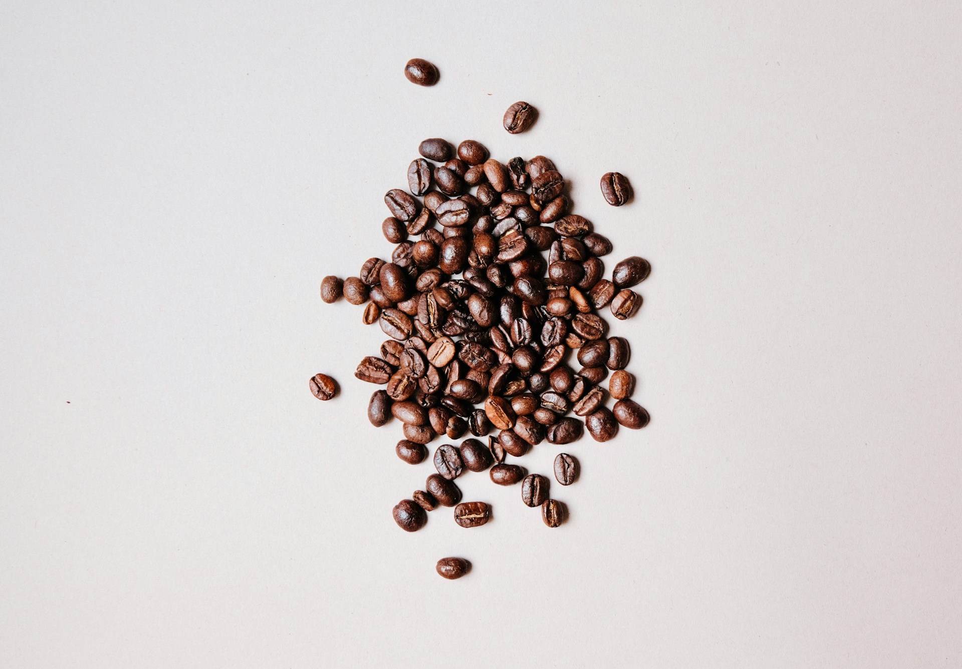 Kaffeesatz als natürlicher Dünger: So verbessern Sie den Boden nachhaltig